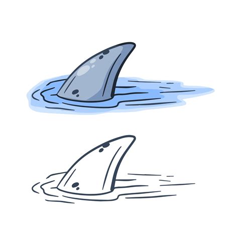 Shark Fin Animation