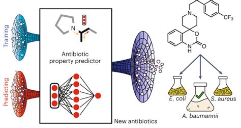 Above The Cloud Scoprire Antibiotici Contro I Superbatteri Grazie Alla Ia