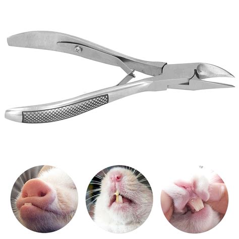 Garosa Cm In Stainless Steel Pig Tooth Nipper Piglets Teeth