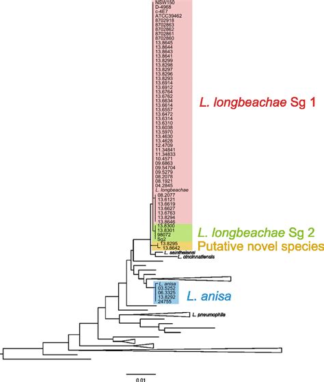 S Rrna Gene Based Phylogenetic Tree Sequenced Genomes And All The