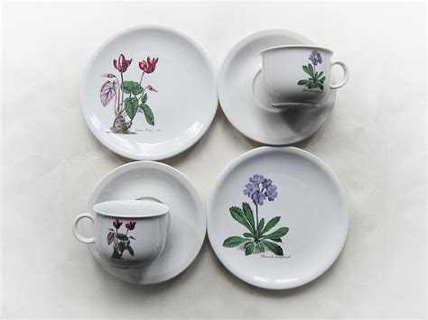 Seltmann Weiden Bavaria Renate Flora 2x Porcelain Tea Trios Etsy