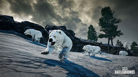 Pubg Patch 221 Add Polar Bears Thermal Scopes And Nerfs Mk 12