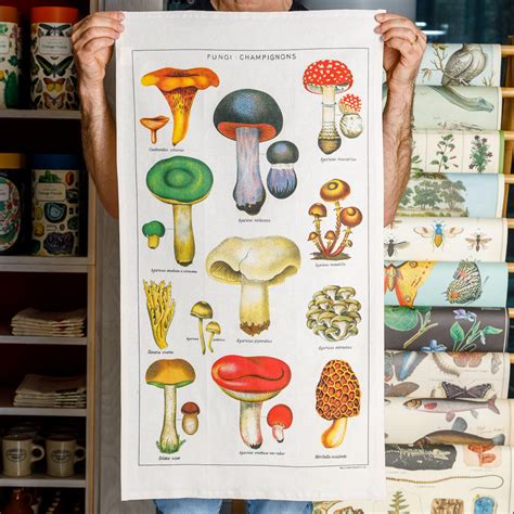 Mushrooms Tea Towel By Cavallini Co RAM Shop