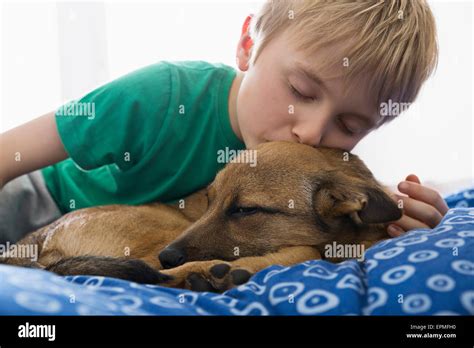 Boy And Dog Cuddling On Bed Stock Photo Alamy