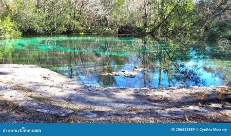 Blue Hole Springs At Ichetucknee Springs State Park Stock Image Image