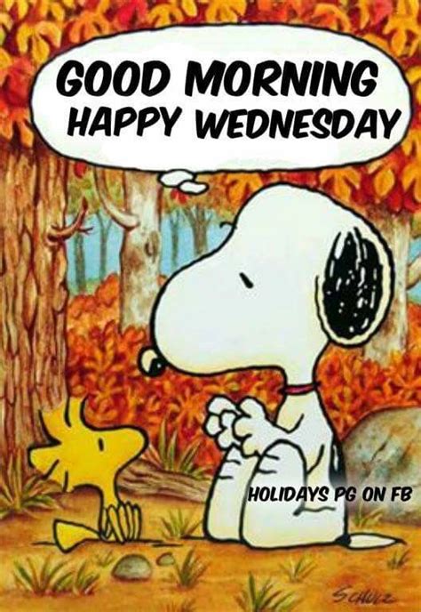 Pin By Charlene Griffieth On Charlie Brown Good Morning Snoopy Snoopy Quotes Happy Wednesday