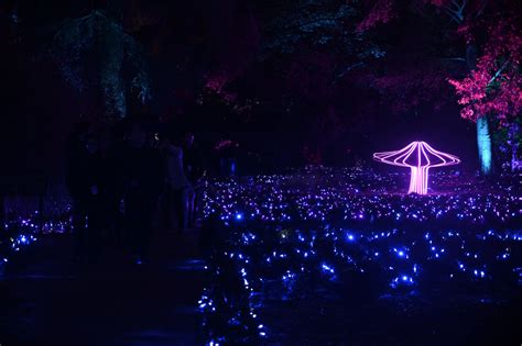 Galería Madridiario Origen La Nueva Propuesta De Naturaleza