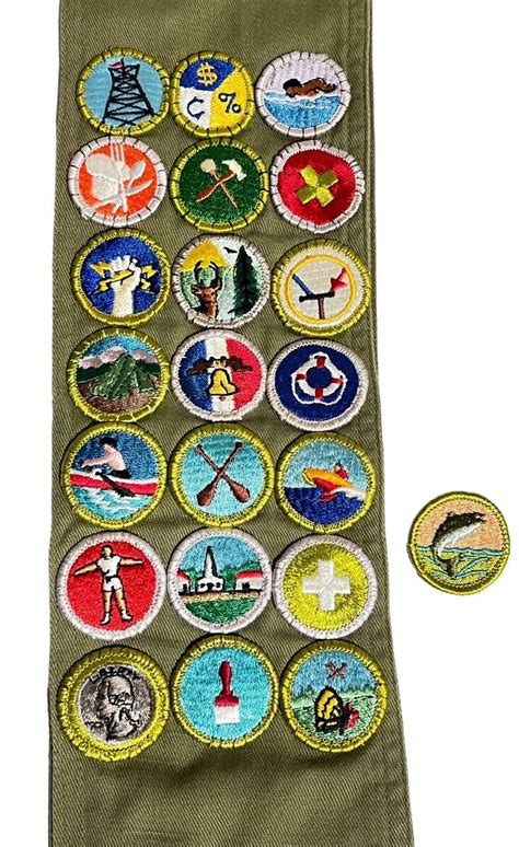Are These The Toughest Requirements For All 137 Merit Badges