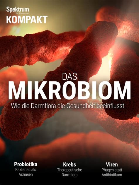 Kompakt Mikrobiom Gesunde Darmflora Spektrum Der Wissenschaft