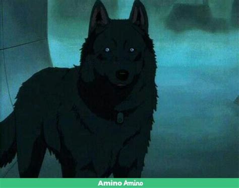 Ночь | Wiki | Волки-Воины Amino