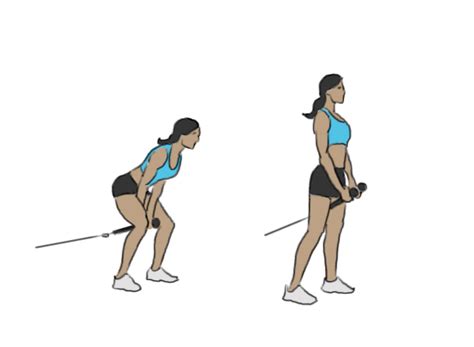 Cable pull through - GoFitnessPlan