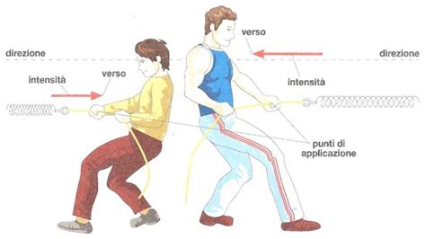 Forza In Fisica Definizione Esempi Caratteristiche Misura Studia