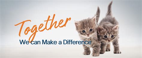 Sponsorships National Kitten Coalition