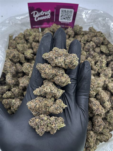 Lemon Cherry Gelato Exclusive *OUT OF STOCK** - District Connect