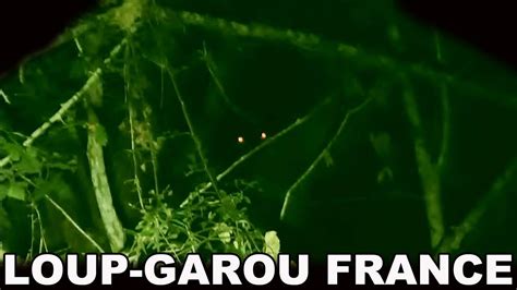 Reportage Les Yeux Rouges Du Loup Garou Loup Garou France