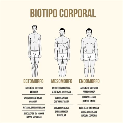 Ectomorfo mesomorfo ou endomorfo Descubra o seu biótipo corporal