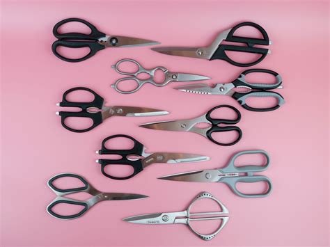 Best Kitchen Shears 2024 Model Bunny Cordula