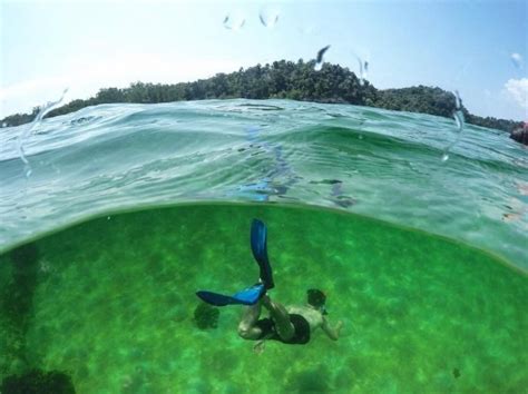 Snorkeling Di Pulau Abang Batam Pesona Laut Kepulauan Riau Traveling