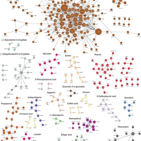 Proteinprotein Interactions Of Polyphenol Targets The Polyphenols