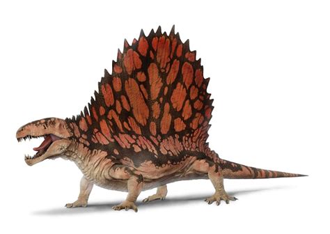 Dimetrodon Extinct Animals