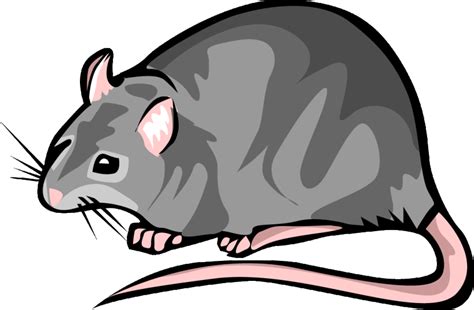 Free Rat Clipart Png, Download Free Rat Clipart Png png images, Free ...