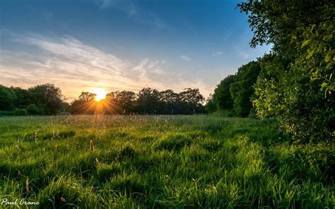 Sunset Meadow Wallpapers Wallpaper Cave