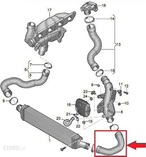 Gtbergmann Przewód Intercoolera Audi Gt52628 Opinie i ceny na Ceneo pl