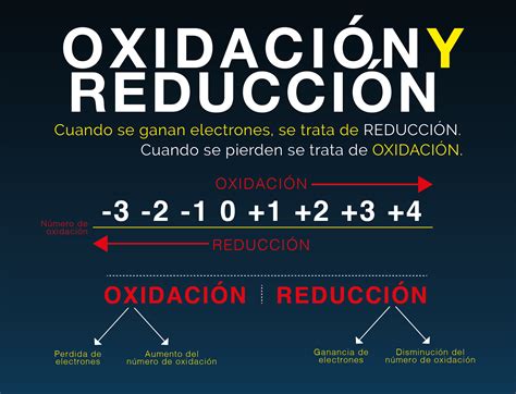 Ejemplos De Oxido Reduccion En Los Seres Vivos Nuevo Ejemplo