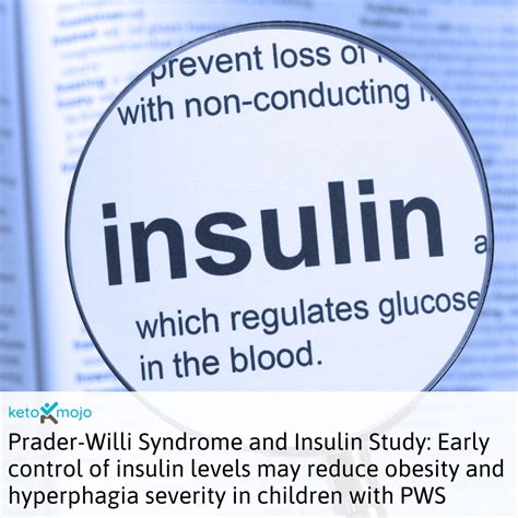 Hyperinsulin Mie Ist Ein Wahrscheinlicher Ausl Ser F R Gewichtszunahme