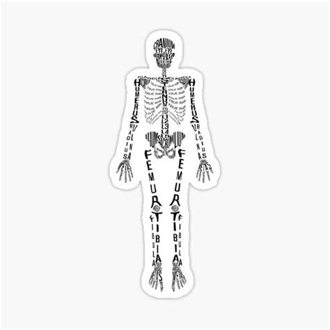 Medicine Stickers Redbubble Skeleton Flower Unique Skeleton Human