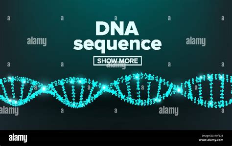 Dna Structure Vector Laboratory Design Healthy Chromosome Clone Atom