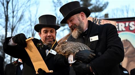 Punxsutawney Phil Live Stream 2024 - Merci Stafani