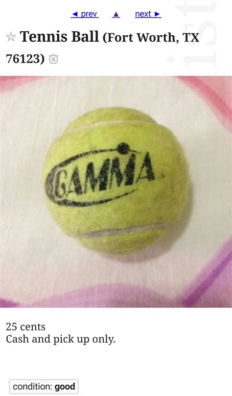 Craigslist deal too good to pass up! : r/pics