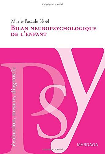 Bilan Neuropsychologique De L Enfant Un Guide Pour Analyser Les