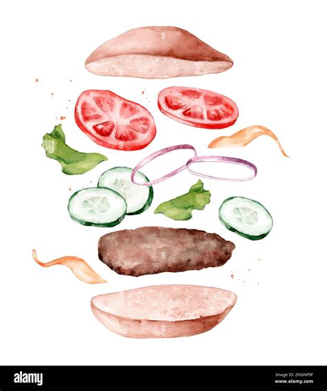 Fresh Tasty Ingredients For Burgers Watercolor Hand Drawn Illustration