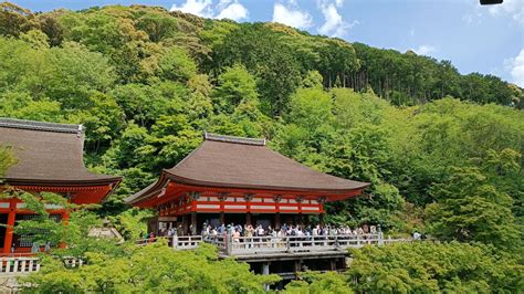 東山・清水山・清閑寺山 京都ラーメン巡り 楓推しのgu人さんの京都一周トレイルの活動データ Yamap ヤマップ