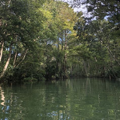 Kayaking In Weeki Wachee Springs | Kayaking With Manatees