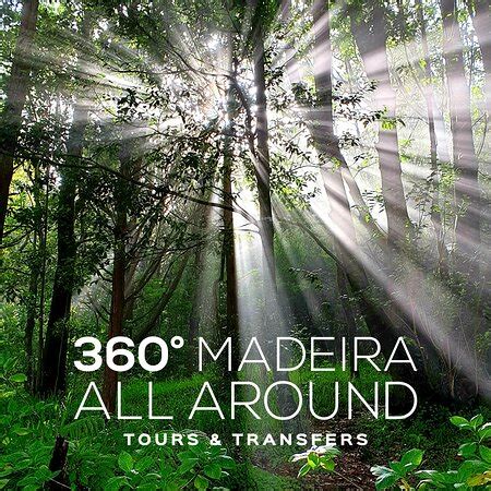 Stunning Madeira Madeira All Around Tours Transfers Madeira