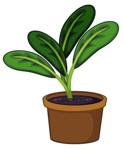 Gambar Tanaman Pot Menanam Daun Hijau Bunga Png Transparan Clipart