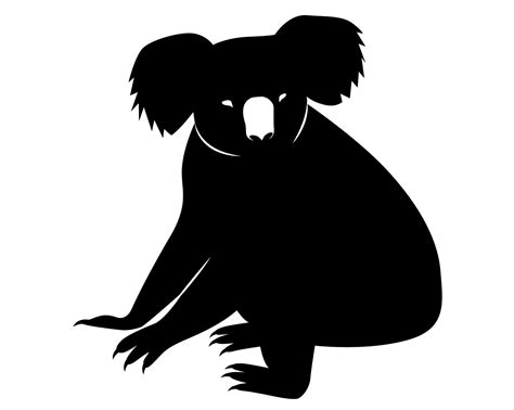 Fact File Drop Bear Thylarctos Plummetus Australian Geographic