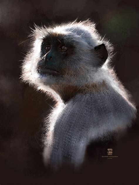 Artstation Monkey