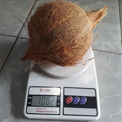 Jual Kelapa Tua Kupas Utuh Biji Kg Shopee Indonesia