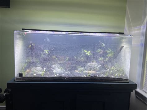 75 Gallon Planted Community Tank Build The Planted Tank Forum