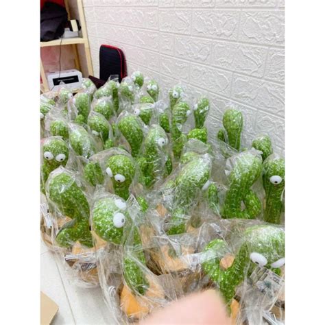 Mua C Y X Ng R Ng Nh Y M A Vui Nh N Nh I C Gi Ng N I Hot Tiktok B N Ti Ng Vi T S C