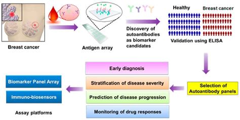 Cancer Biomarker Elisa Test Creative Diagnostics