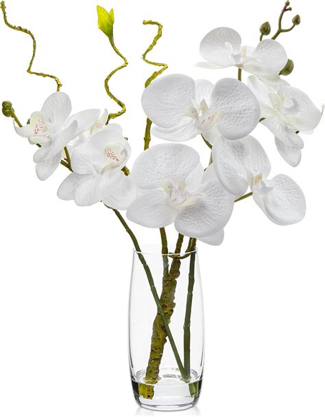 Amazon Dilatata Faux Flowers In Vase Phalaenopsis Orchid