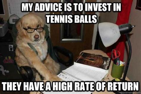 Best of the Financial Advice Dog Meme (14 Pics)