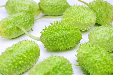 brazilian vegetable called maxixe  white background stock image