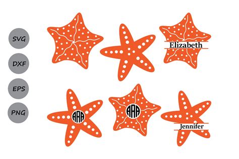 Starfish Svg Free Svg File For Cricut Free Sgv Kitchen