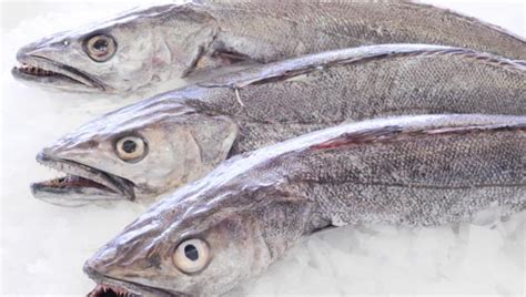 Fish On Friday Pan Fried Garlic And Peppered Hake Fillets Recipe